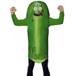 Pickled Rick and Portal Gun